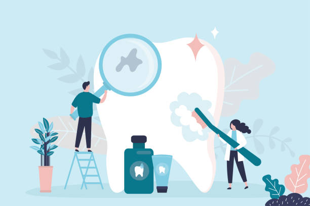 Professional Holistic Dental Care Services in Picnic Point, WA